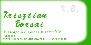 krisztian borsai business card